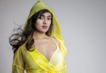 ডিজে সানিকা ফিরছেন অভিনয়ে