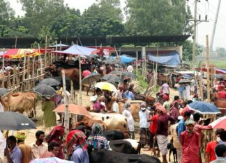 কোরবানির পশুর হাট -এ স্বাস্থ্যবিধি উপেক্ষিত