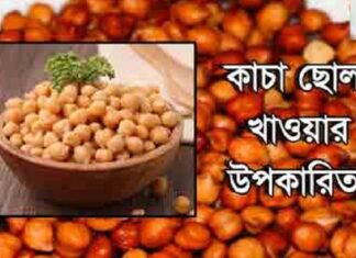 ছোলা ডায়াবেটিসসহ নানা রোগে উপকারি  gazipurnews.net